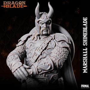 Fighter - Knight - Marshall Shineblade - September 2023 - DRAGONBLADE- MASTERS OF DUNGEONS QUEST
