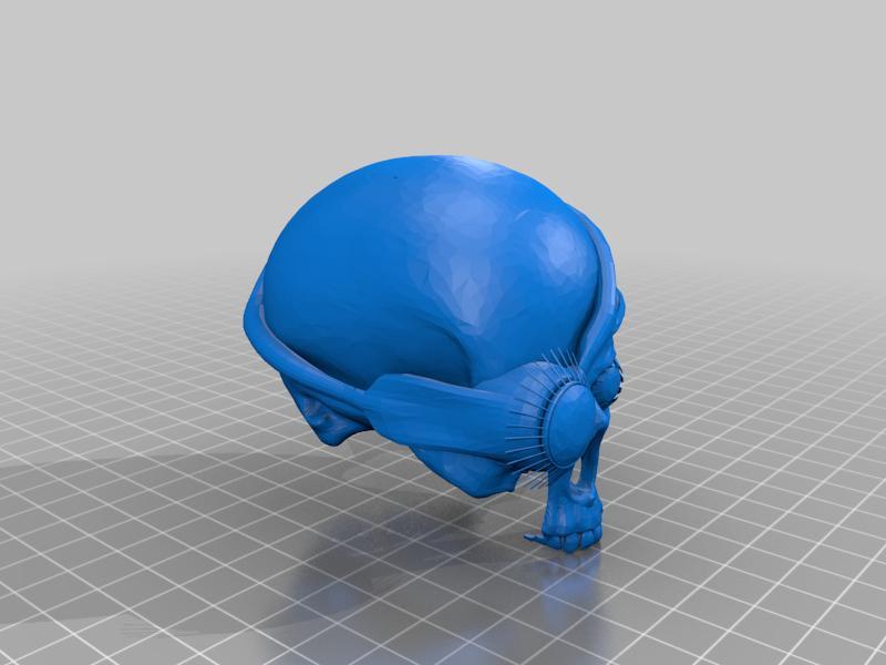Skull Tape Measure Cover 