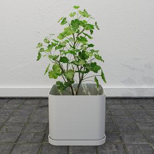 Modern Square Planter Pot with Base Tray