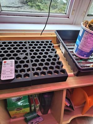 Bin storage shelves