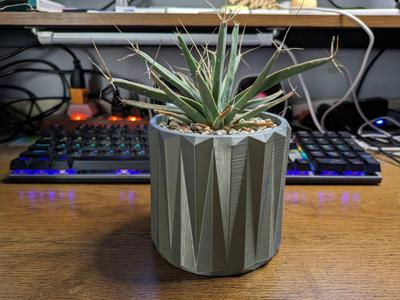 Geometric Shape-Succulent Plant Pot Design