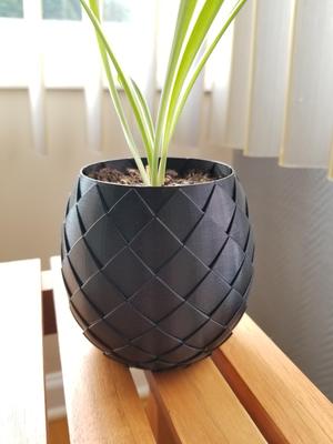 Dragon egg plant pot