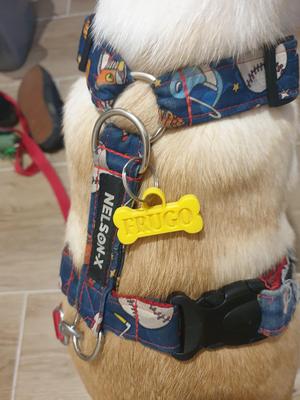 Dog ID tag