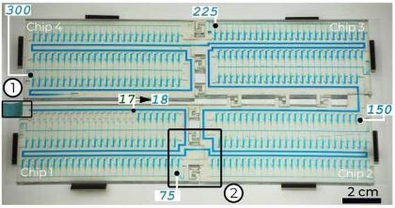 Microfluidic chip implementing sequential realease 300 aliquots