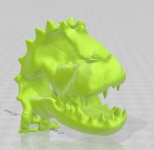 Dino Head Skeletal