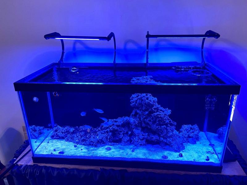 Aqua illumination AI Blade Mount