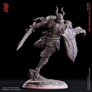 Aimer, Human Knight