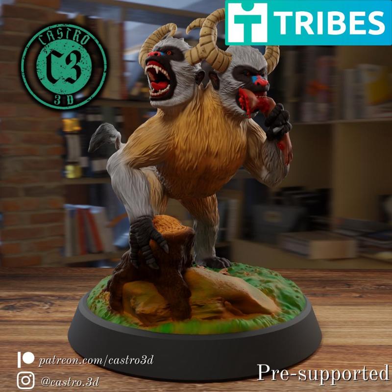 Aka-Mokoi-Ka'i - The Double Head Baboon