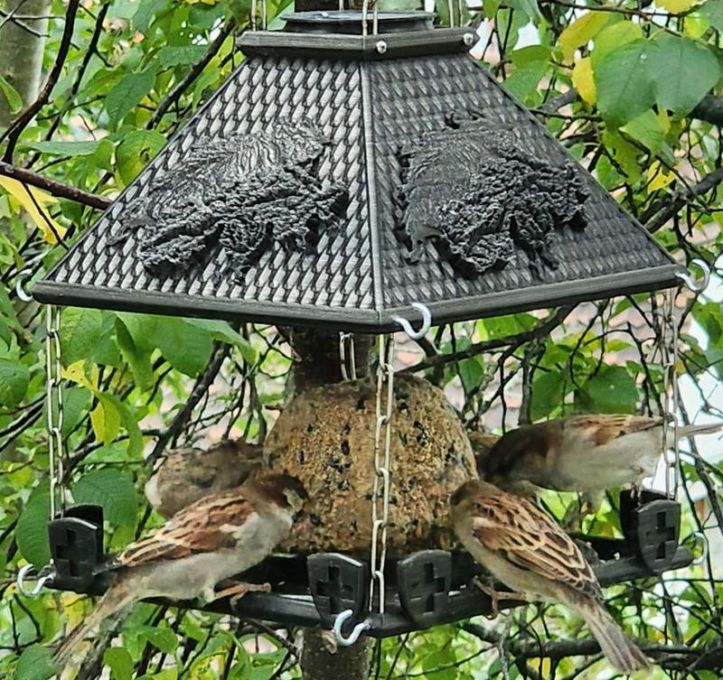 Chalet à zozieaux (édition Suisse)