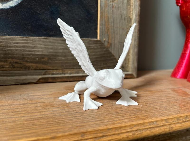 Flying Fruck (Frog-Duck)