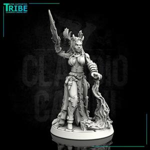 (0030) Female human elf tiefling druid sorceress