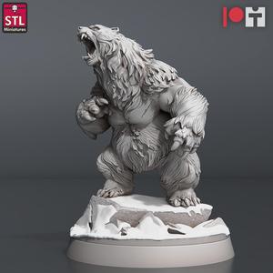 Bear B