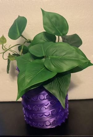Twisted Hex Planter