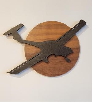 Diamond DA20 Silhouette