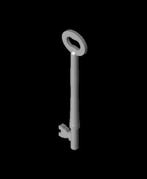 Coach Key - Long