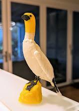 Realistic Gannet