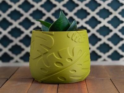 Indoor Plant Pot with Monstera Texture