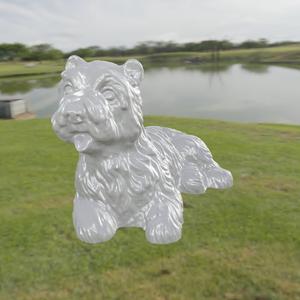 Bichon 3
