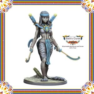 Cobra Team Warrior 3