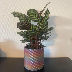 Plant pot.stl