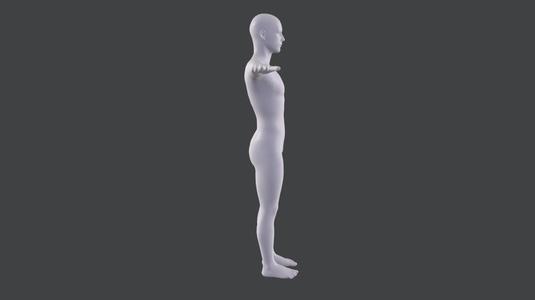 Male Base Mesh