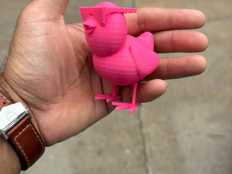 duck with chicken legs and shades