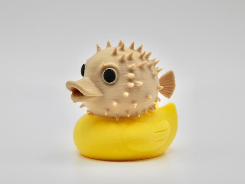 Puffer Fish Duck