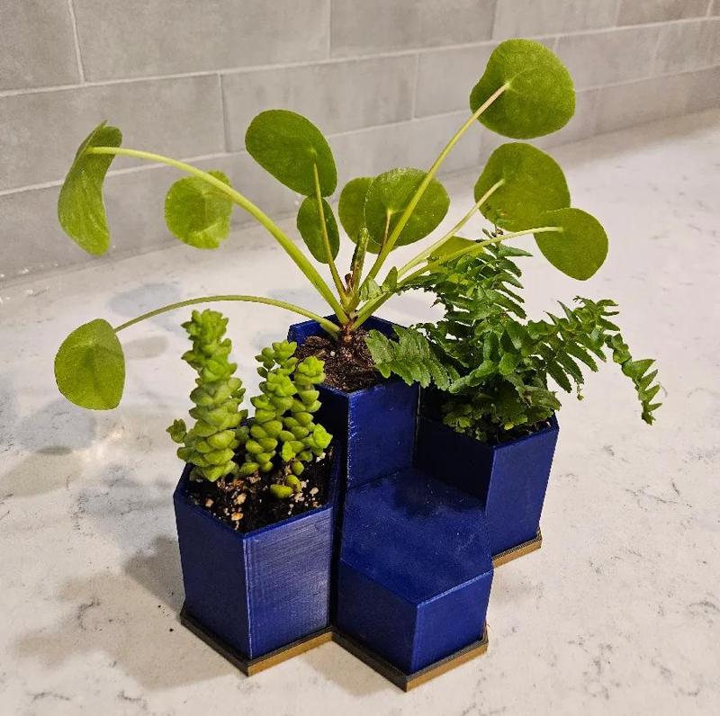 Hexagonal Planter(Gerald Planter)