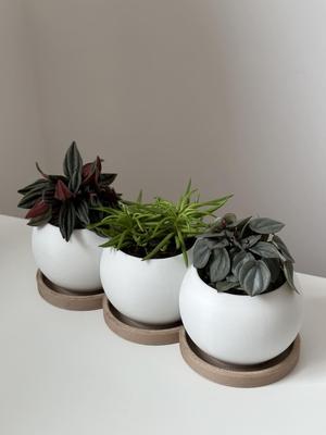 TRIO planter
