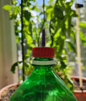 A spout for the stopper of a plastic bottle.