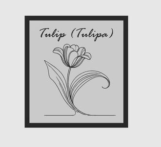 3D Printed Tulip - Iconic Spring Flower Model for 3D Printing