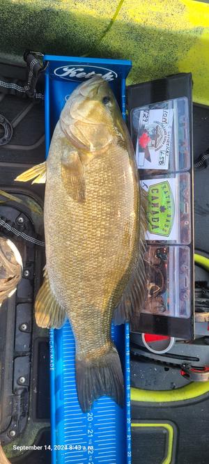 Identifer holder for Ketch boards