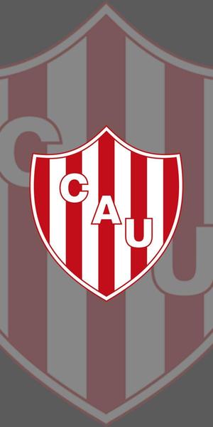 Union shield key ring