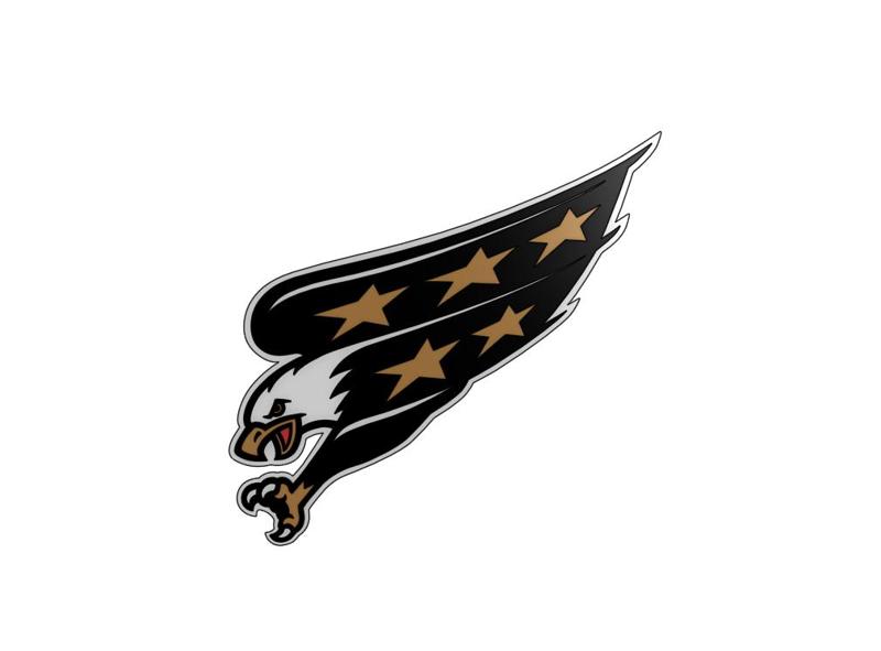 Washington Capitals Alternate Logo