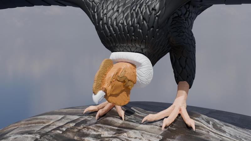 Andean Condor - Andean Condor