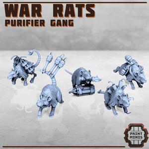 War Rats - Purifier Gang pets