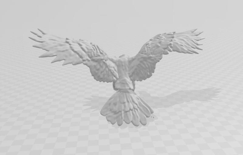 Majestic Hawk in Flight