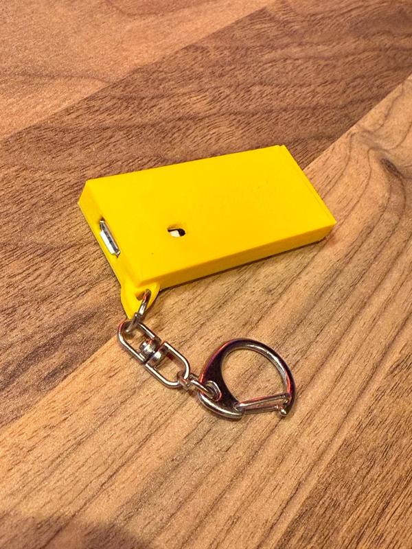 Raspberry Pico Keychain Case  (Ultra-Thin)