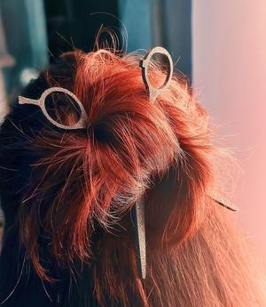 Hair Stylist Scissors Hair Pin set of 2