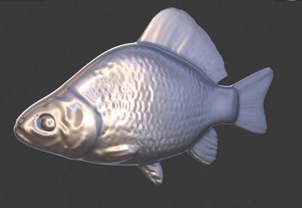 Fish model