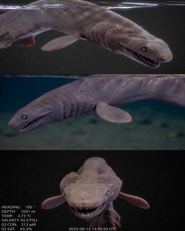 The frilled shark (Figure)
