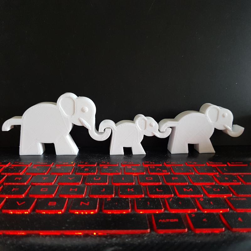 Elephants Sorting and sizing, repetitive sequences