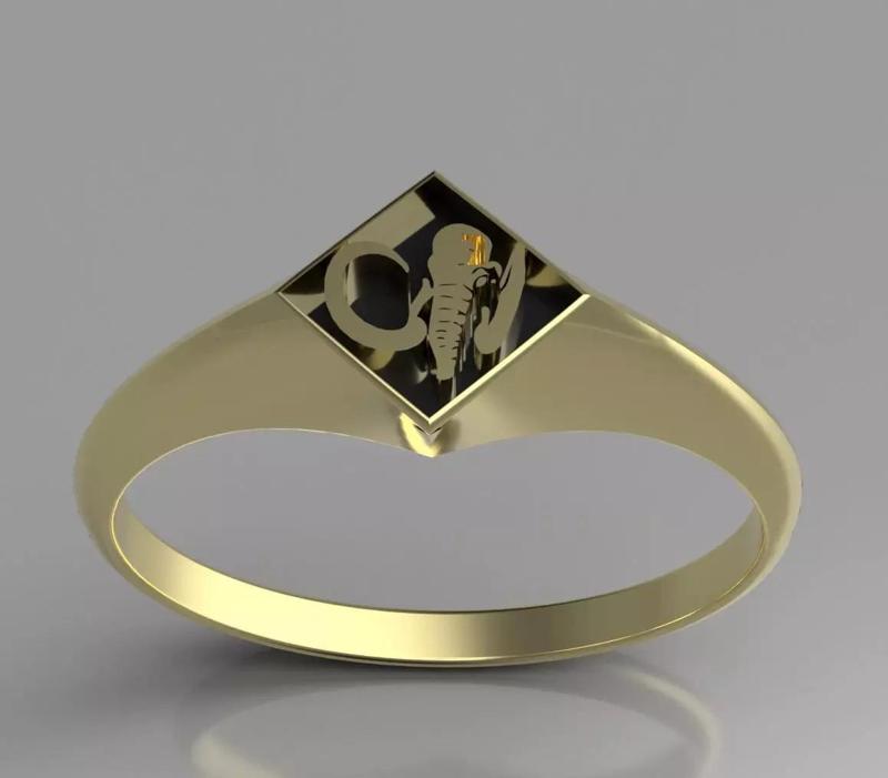 Black Power Ranger Signet