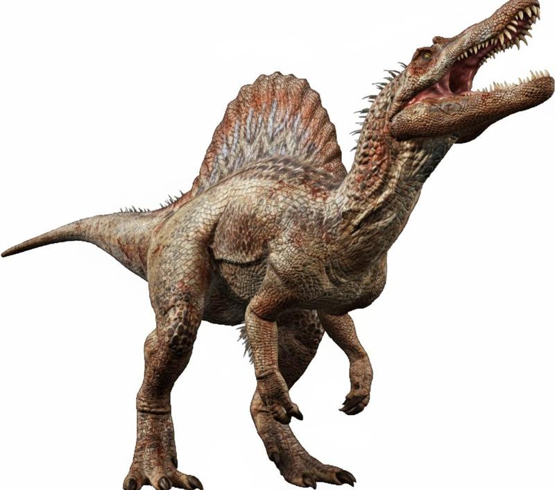 Spinosaurus aegyptiacus (spinosaurus)