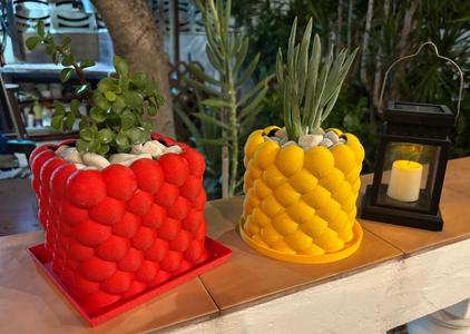 Fruit flowerpot - Fruit flowerpot