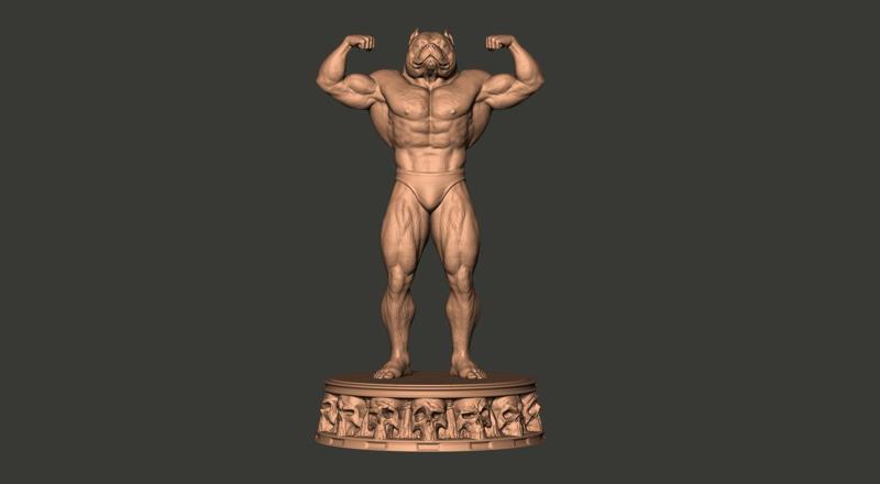 American Bully Pocket Bodybuilder