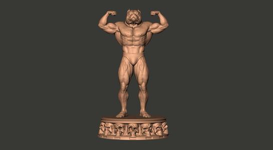 American Bully Pocket Bodybuilder