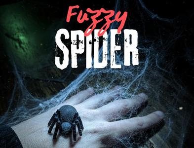 Fuzzy Spider