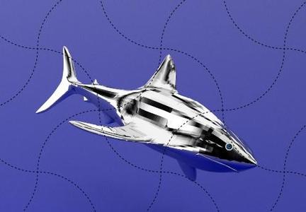 Organic Sculpture, Shark