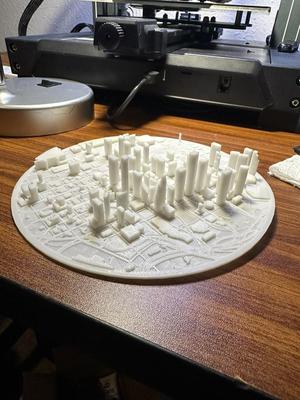 Houston Skyline and Frame